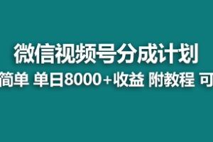 【蓝海项目】视频号分成计划，单天收益8000+，附玩法教程！