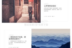 WordPress主题：响应式素色单栏博客 DIASPORA主题