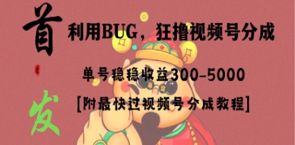 全网独家首发，视频号BUG，超短期项目，单号每日净收益300-5000！插图