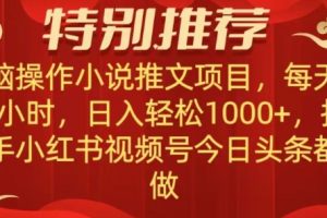 无脑操作【小说推文项目】，兼职每天两小时，日入轻松1000+，抖音快手视频号小红湖中视频都可做【揭秘】