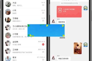 价值9800 正版源码IM原生APP高仿微信