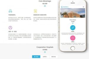 响应式试管婴儿医疗机构网站源码 织梦模板 (自适应手机移动端)