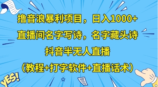 撸音浪暴利项目，日入1000+，直播间名字写诗，名字藏头诗，抖音半无人直播（教程+打字软件+直播话术）【揭秘】插图