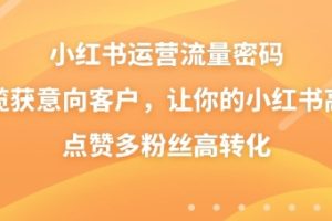 小红书运营流量密码，揽获意向客户，让你的小红书高点赞多粉丝高转化