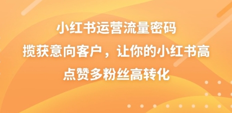 小红书运营流量密码，揽获意向客户，让你的小红书高点赞多粉丝高转化插图