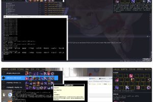 英雄联盟云顶之奕赌狗神器自用自动拿牌python界面版源码+成品软件