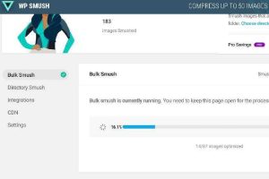 WordPress插件WPSmushProv3.7.0图片上传压缩插件WordPress图像优化插件