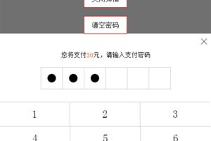 jQuery支付宝输入密码代码