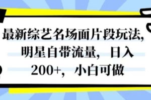 最新综艺名场面片段玩法，明星自带流量，日入200+，小白可做【揭秘】