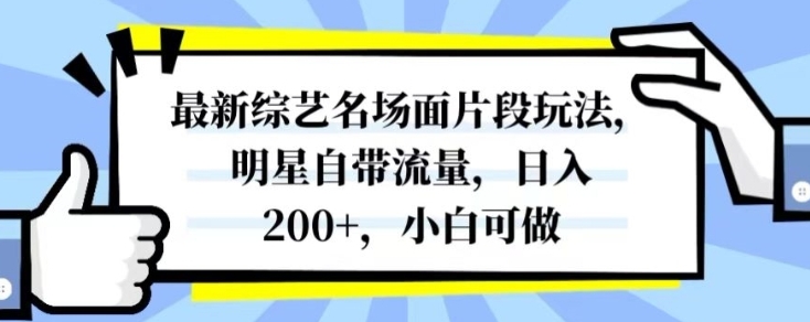 最新综艺名场面片段玩法，明星自带流量，日入200+，小白可做【揭秘】插图