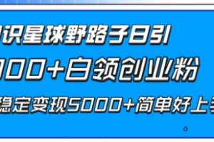 知识星球野路子日引300+白领创业粉，日稳定变现5000+简单好上手！