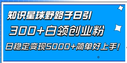 知识星球野路子日引300+白领创业粉，日稳定变现5000+简单好上手！插图