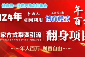 2024年普通人如何利用博商模式做翻身项目年入百万，财富自由