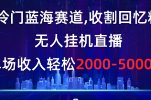 冷门蓝海赛道，收割回忆粉，无人挂机直播，单场收入轻松2000-5w+