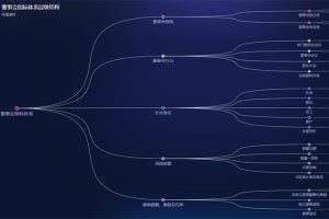 ECharts董事会体系层级特效