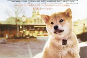 日本真实事件改编电影《忠犬八公》解说文案完整版