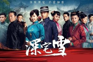 电视剧《深宅雪》48集电视剧恐怖惊悚电影影视解说自媒体素材文案/片源下载