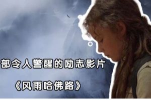 励志电影《风雨哈佛路》解说文案及全剧下载