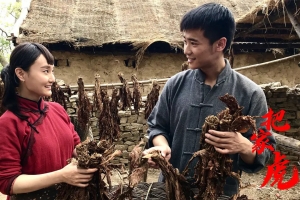 剧情电影《把家虎》恐怖惊悚电影影视解说自媒体素材文案/片源下载